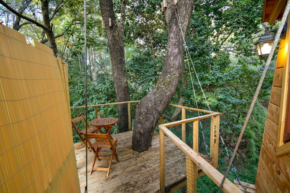 Hôtel Cabanas Bosques De Loncotraro à Villarrica Extérieur photo