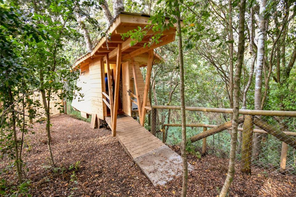 Hôtel Cabanas Bosques De Loncotraro à Villarrica Extérieur photo