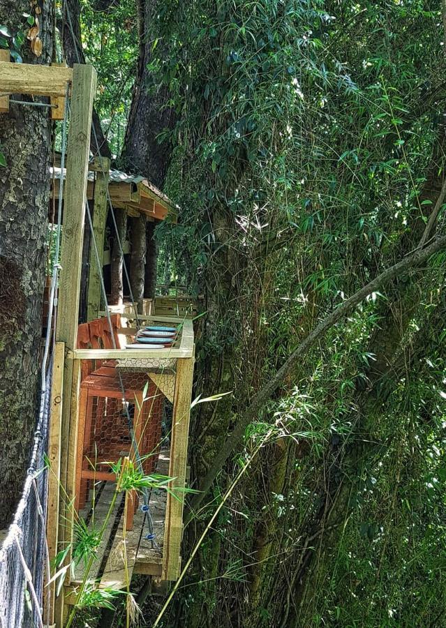 Hôtel Cabanas Bosques De Loncotraro à Villarrica Extérieur photo