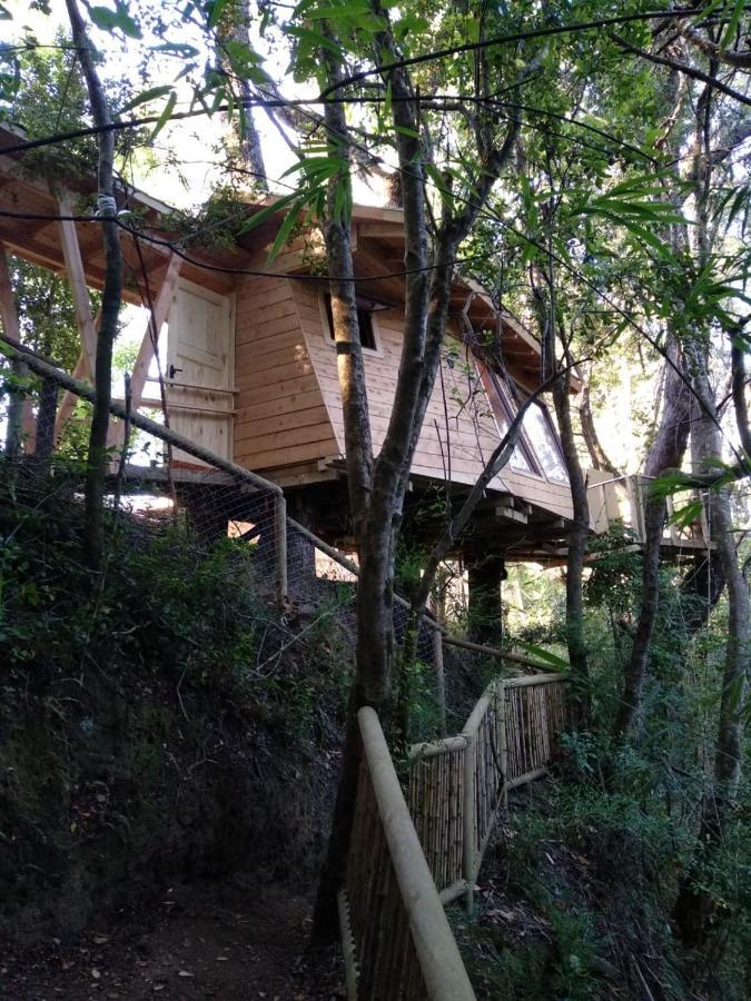 Hôtel Cabanas Bosques De Loncotraro à Villarrica Extérieur photo